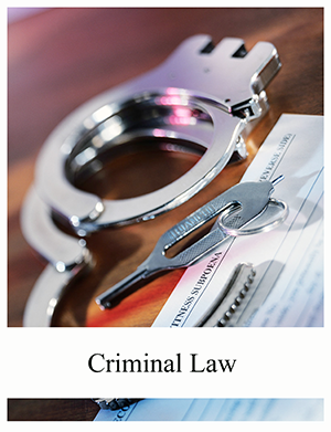 Image of book titled Saylor Foundation: Criminal Law